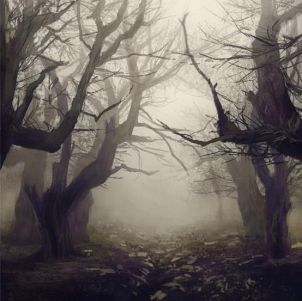 e6d0ee3baa2d44335aaaf0bfc37a0c99--foggy-forest-landscape-illustration